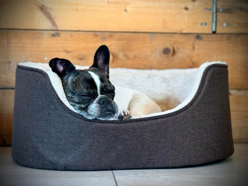 Barkly Nero Hundebett – Dunkelbraun