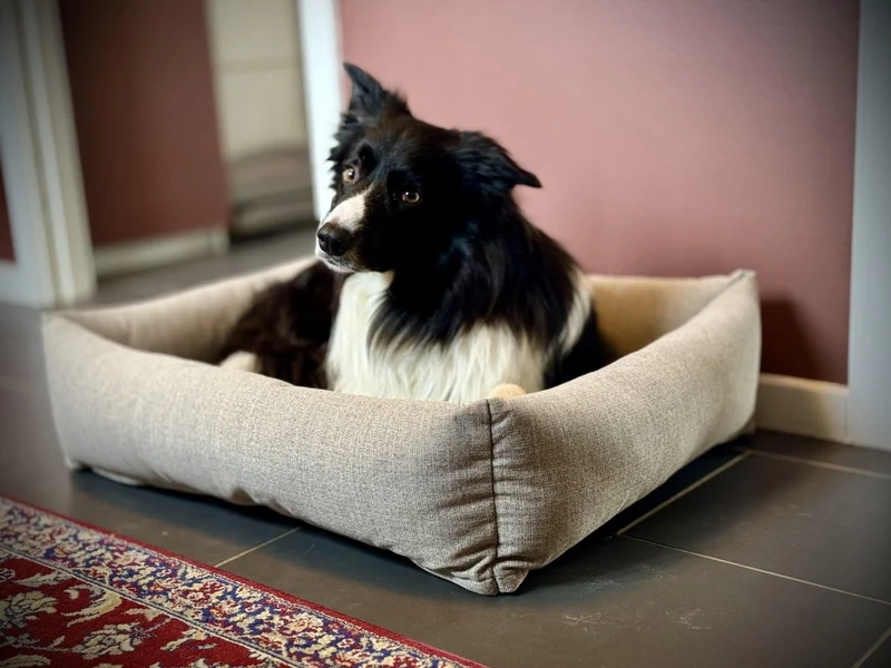 Barkly Felia Hundebett – Dunkelbeige
