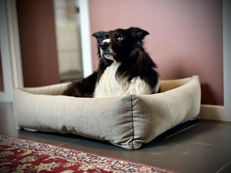 Barkly Felia Hundebett – Dunkelbeige