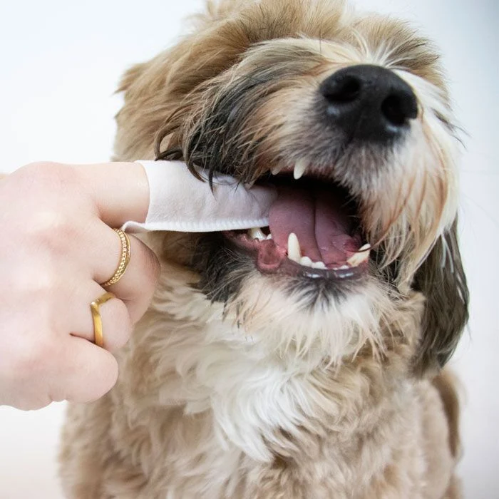Vets Best - Fingertip zur Zahnpflege - 50 Stk