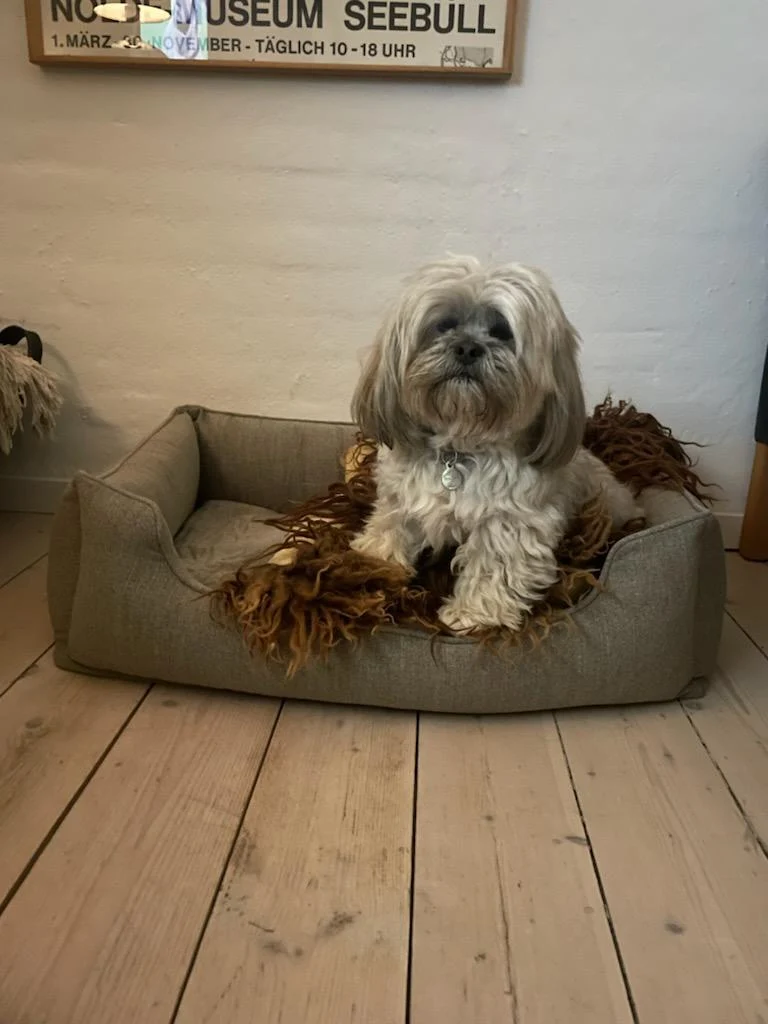 Barkly Elliot Hundebett – Dunkelbeige