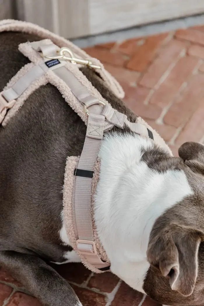 Kentucky Hundegeschirr – „Teddy Fleece“ – Beige