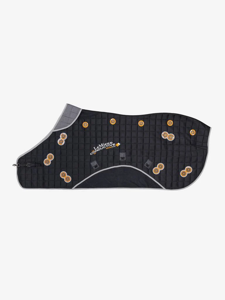 Lemieux Magnetdecke