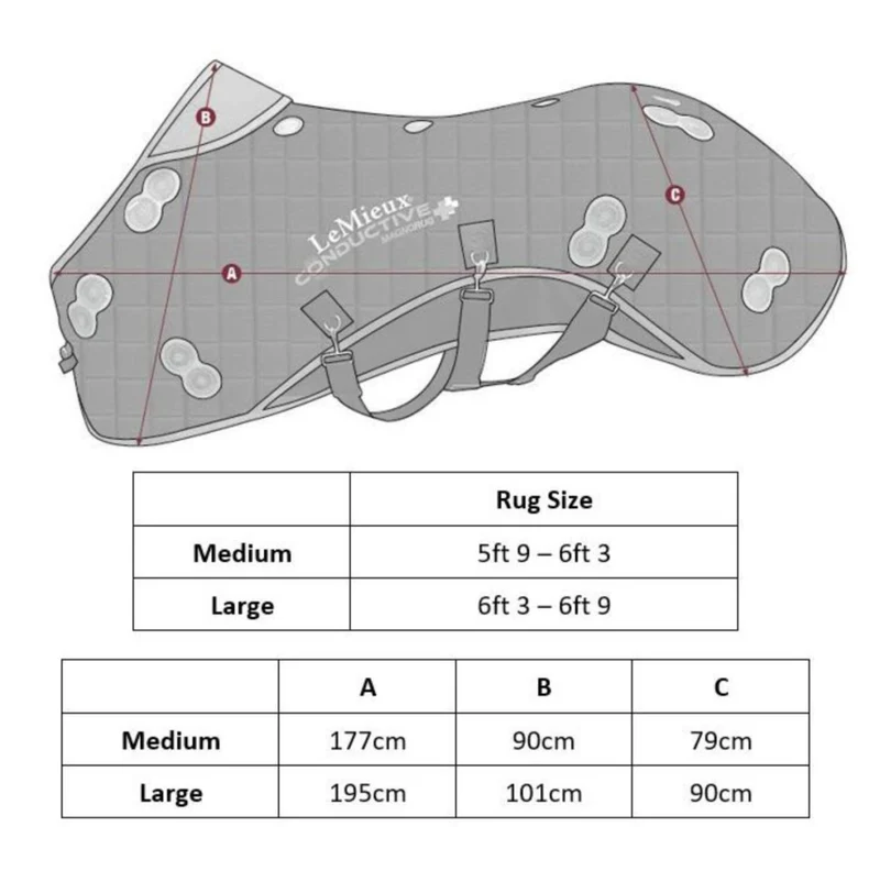 Lemieux Magnetdecke