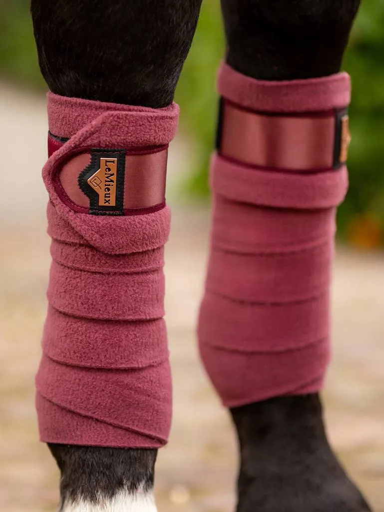 LeMieux Bandage – AW23 – „Loire Polo“ – Orchidee