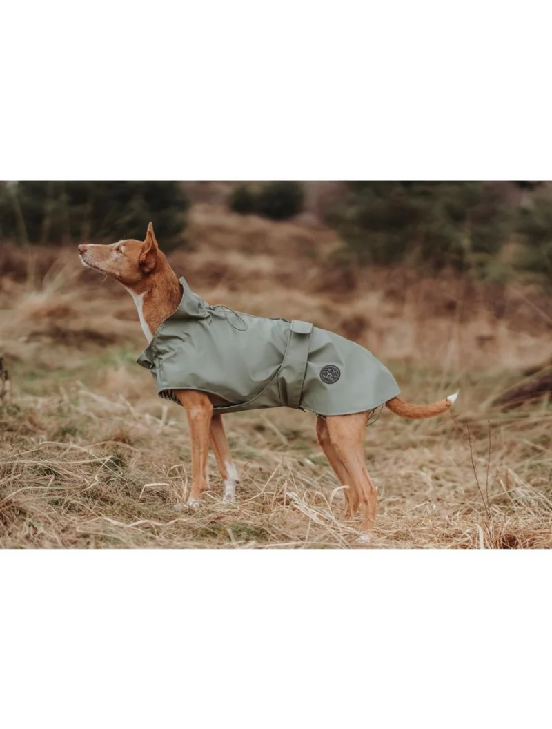 Hunter Regenjacke – „Milford“ – Grün