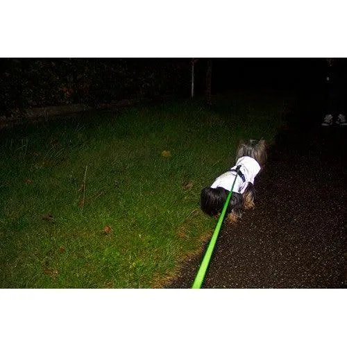 COMPANION Regenjacke – mit Reflektor