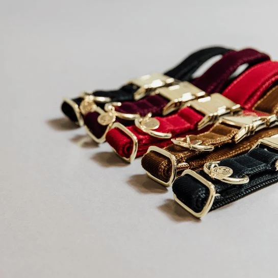 Kentucky Hundehalsband Cord - Schwarz