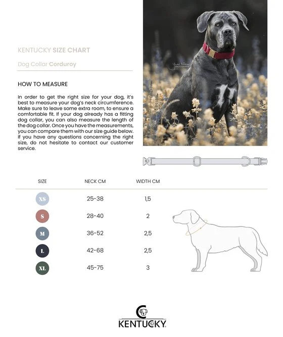 Kentucky Hundehalsband Cord - Schwarz