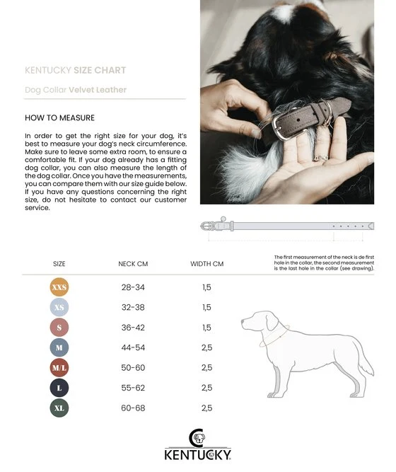 Kentucky Hundehalsband Samtleder