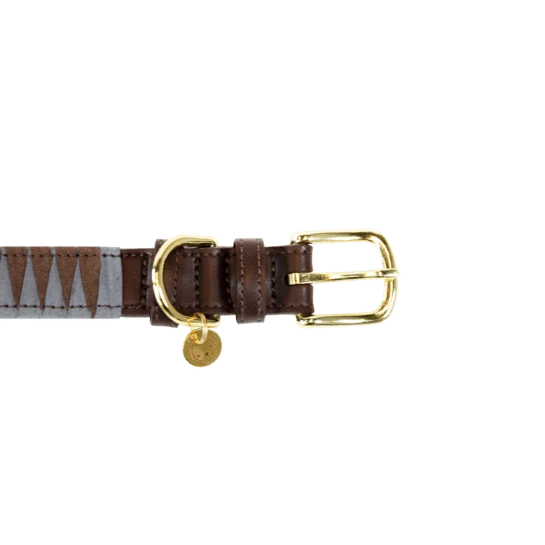 Kentucky Hundehalsband Dreieck
