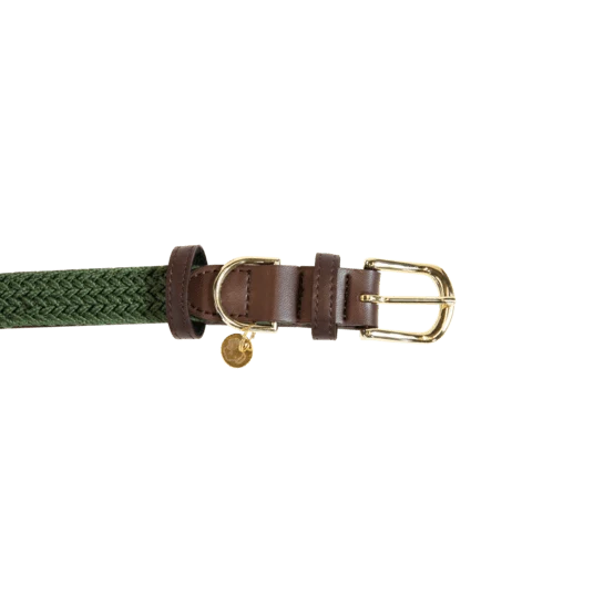Kentucky Geflochtenes Nylon-Hundehalsband - Olivgrün