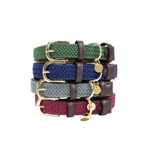 Kentucky Geflochtenes Nylon-Hundehalsband - Olivgrün