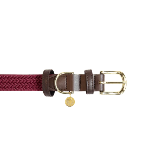 Kentucky Geflochtenes Nylon-Hundehalsband - Bordeaux
