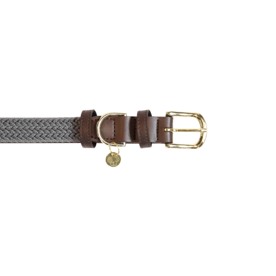Kentucky Geflochtenes Nylon Hundehalsband - Grau