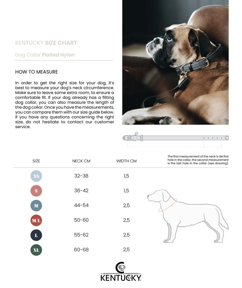 Kentucky Geflochtenes Nylon Hundehalsband - Grau