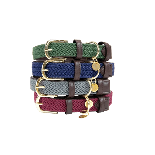 Kentucky Geflochtenes Nylon-Hundehalsband Navy