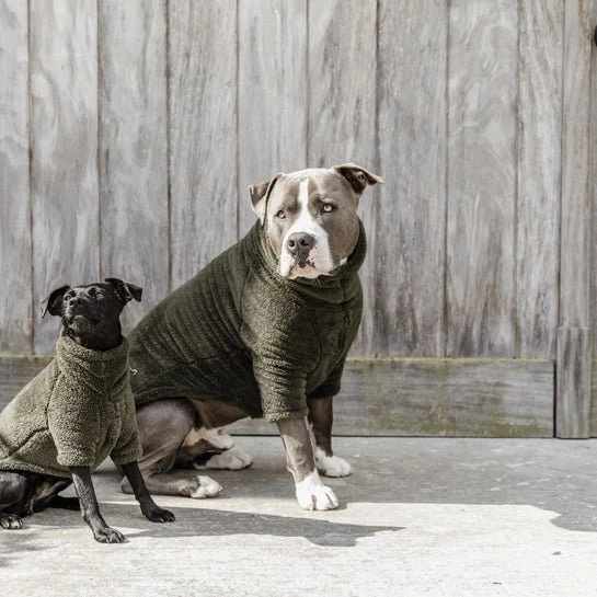 Kentucky Hundepullover – „Teddy Fleece“ – Grün