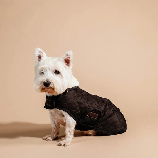 Kentucky Winterjacke - "original" - Braun