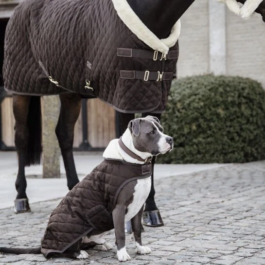 Kentucky Winterjacke - "original" - Braun