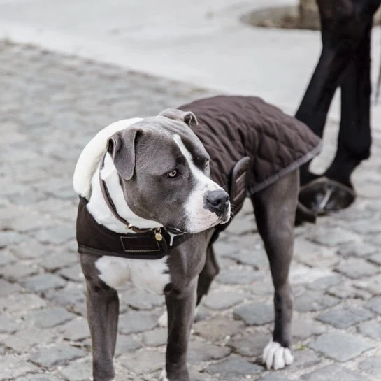 Kentucky Winterjacke - "original" - Braun