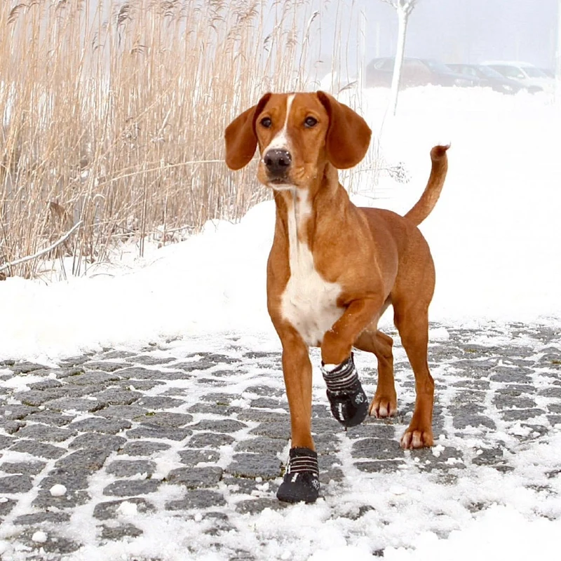 Trixie Hundeschuhe - „Walker Care Comfort“