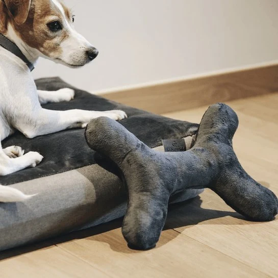 Kentucky Hundespielzeug - Knochen