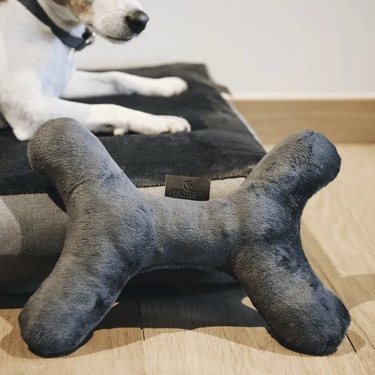Kentucky Hundespielzeug - Knochen