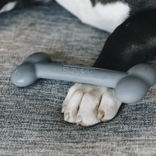 Kentucky Hundespielzeug Silikonknochen - Grau