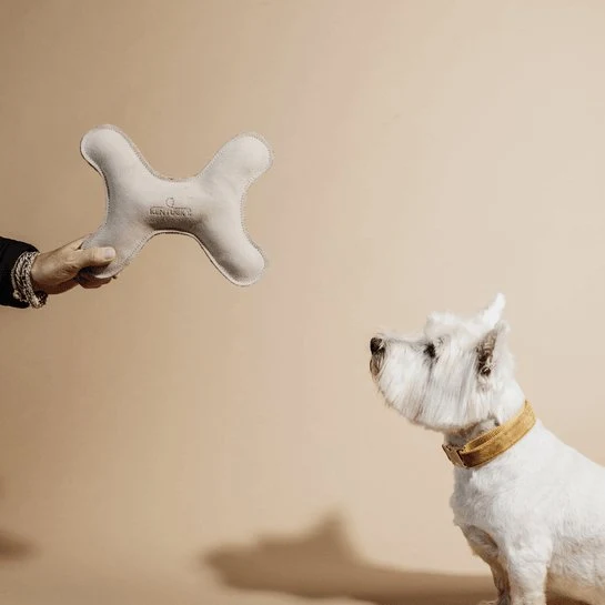 Kentucky Hundespielzeug Pastel Bone Cream