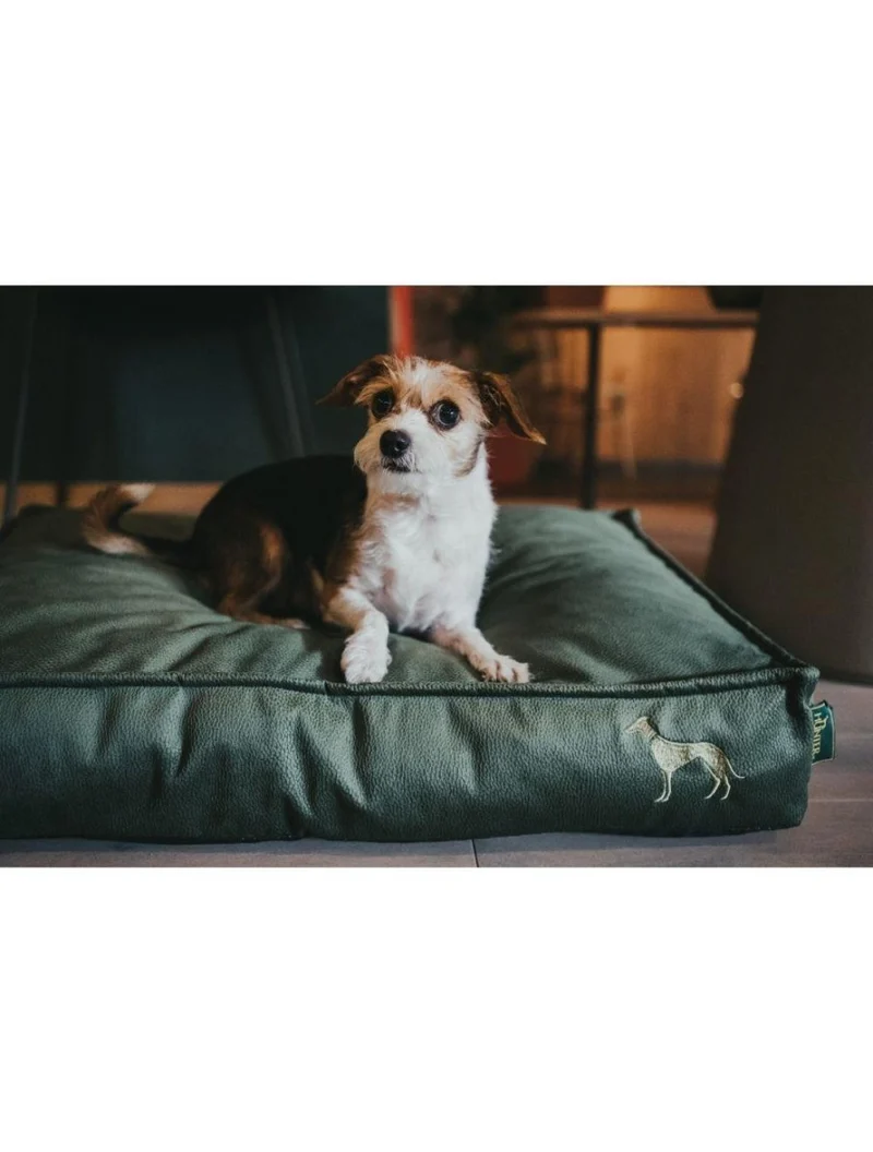 Hunter Merida Orthopädisches Hundekissen – Olivgrün