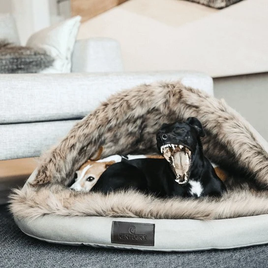 Kentucky Hundebett Iglu