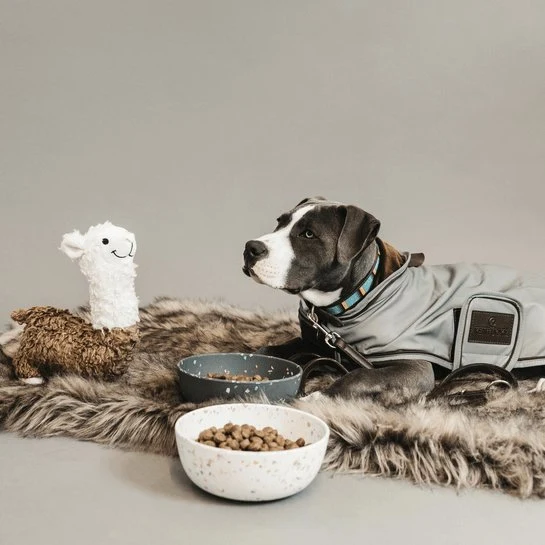Kentucky Regenjacke – mit Flex-Flex – Silber