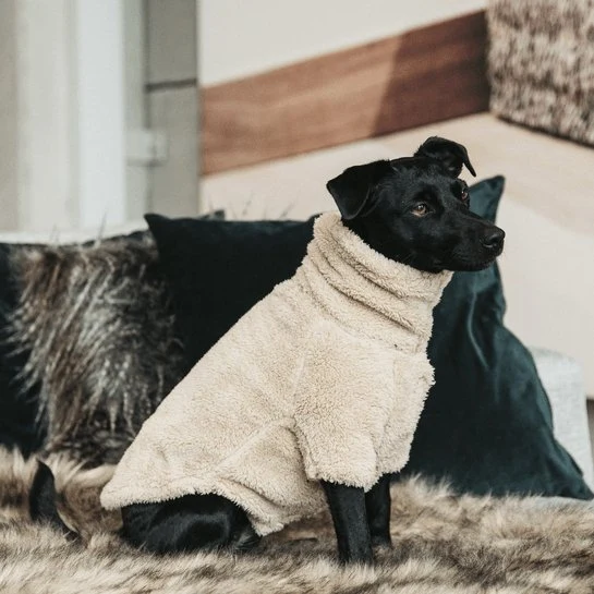 Kentucky Hundepullover – „Teddy Fleece“ – Beige