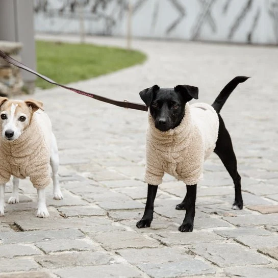Kentucky Hundepullover – „Teddy Fleece“ – Beige