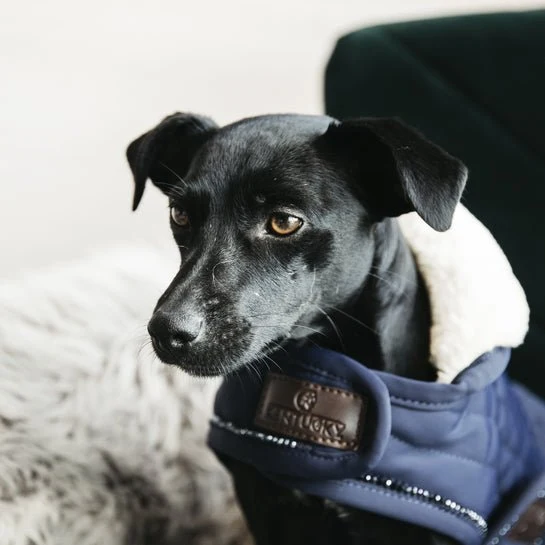 Kentucky Winterjacke – Marineblau mit Perlen