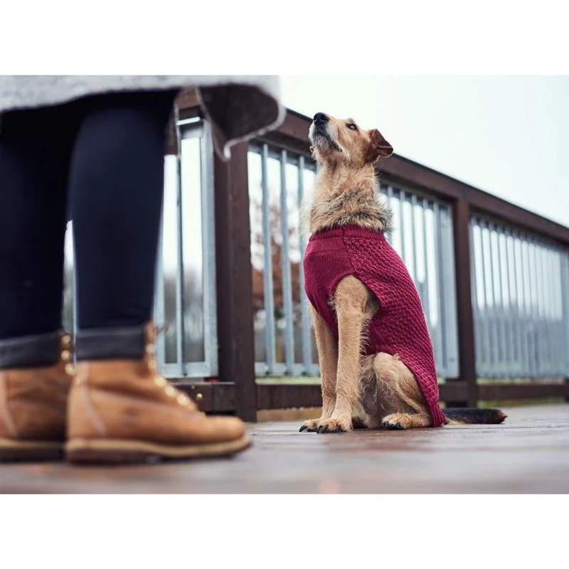 Hunter Hundeshirt – „Malmø“ – Bordeaux