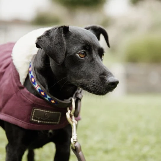 Kentucky Winterjacke – „Original“ – Bordeaux
