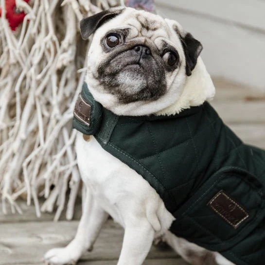 Kentucky Winterjacke – „Original“ – Dunkelgrün