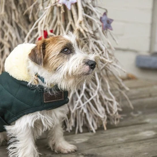 Kentucky Winterjacke – „Original“ – Dunkelgrün