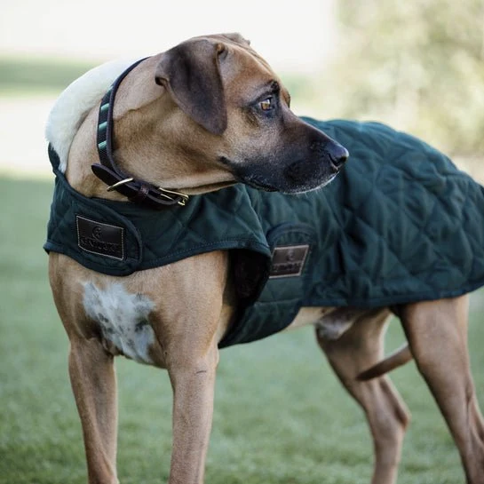 Kentucky Winterjacke – „Original“ – Dunkelgrün