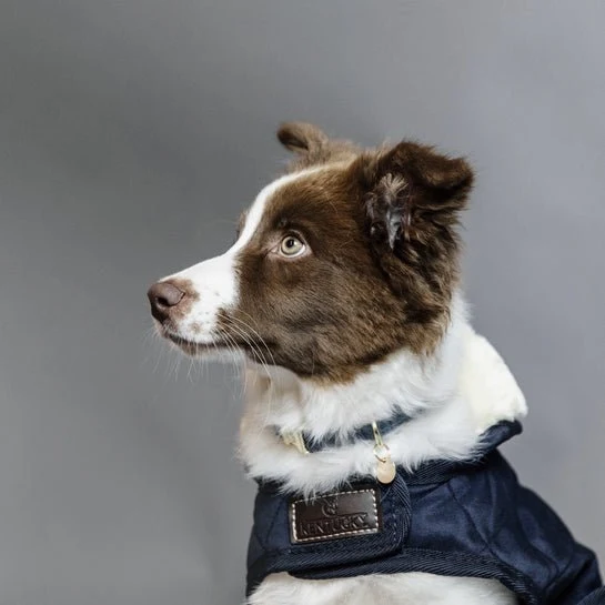 Kentucky Winterjacke – „Original“ – Marineblau