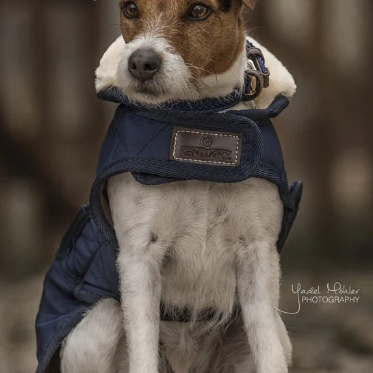 Kentucky Winterjacke – „Original“ – Marineblau
