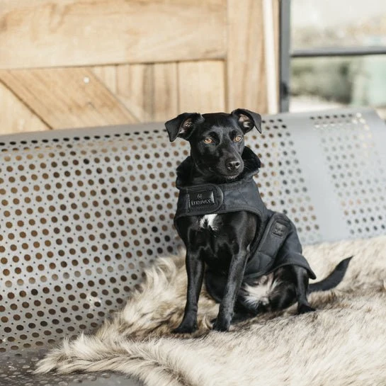 Kentucky Winterjacke - "original" - Schwarz
