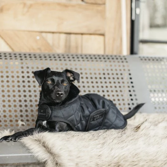 Kentucky Winterjacke - "original" - Schwarz