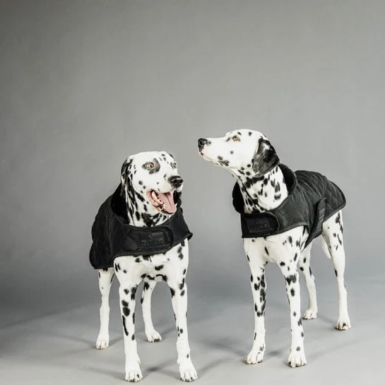 Kentucky Winterjacke - "original" - Schwarz