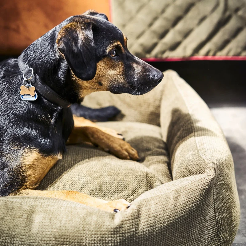 Classic Bett Tudor