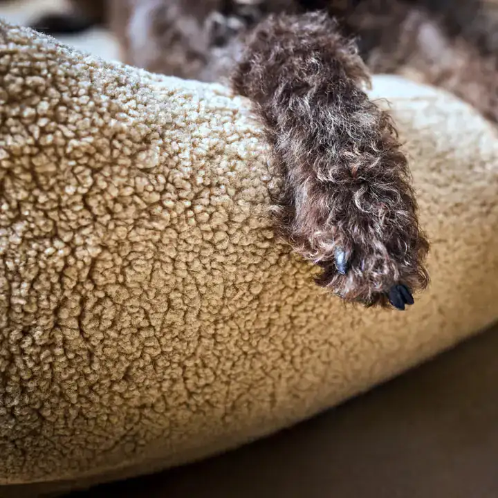 Ortho Bett Teddy