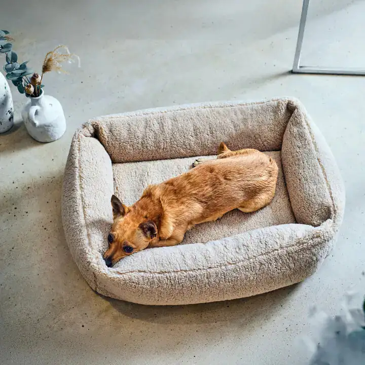 Ortho Bett Teddy