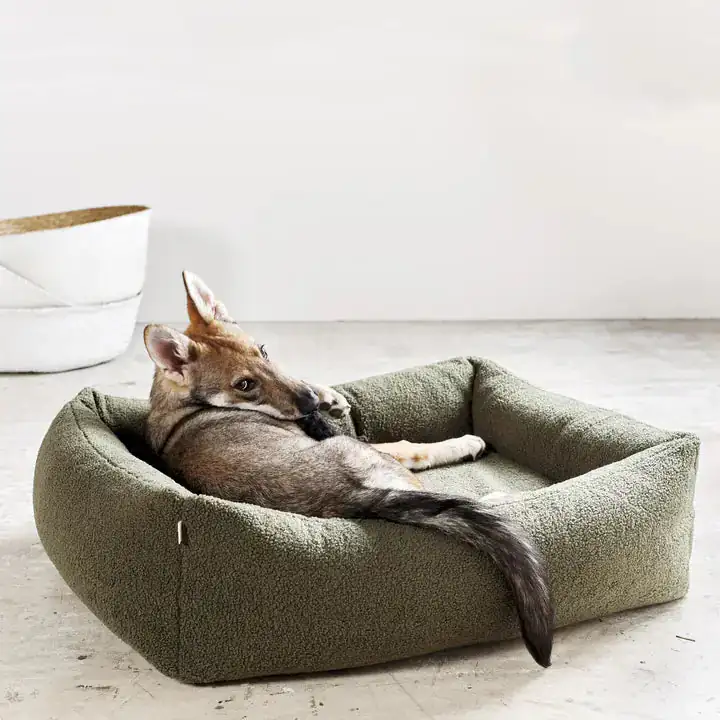 Ortho Bett Teddy